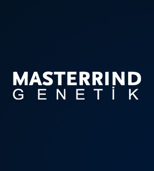 Masterrind Genetik